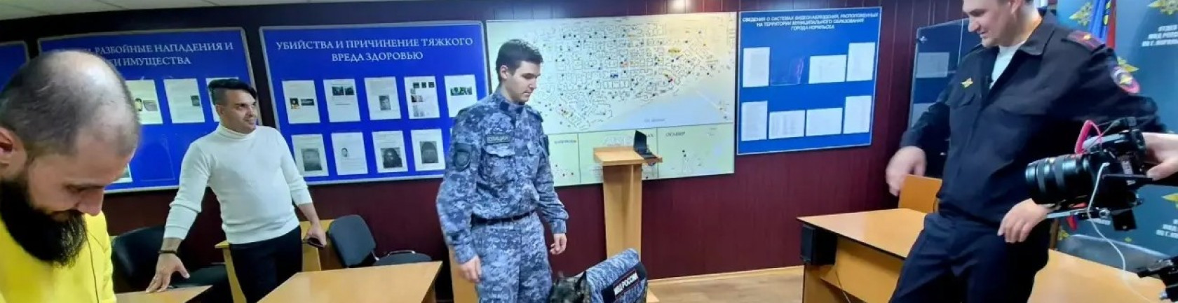  Общественники Норильска запустили проект помощи приюту бездомных животных